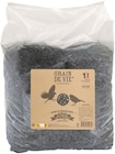 Graines de tournesol noires - GRAIN DE VIE dans le catalogue Botanic