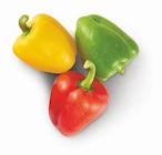 Paprika Mix im Angebot bei nah&frisch in Münster Paprika Mix Angebote bei nah&frisch Münster für 1,66 €