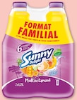 Jus multivitaminé format familial - Sunny Delight en promo à 2,44 € chez Netto Jus multivitaminé format familial - Sunny Delight dans le catalogue Netto