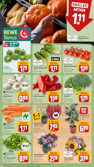Blumen im aktuellen REWE Prospekt (Düsseldorf) Blumen im REWE Prospekt "Dein Markt" mit 30 Seiten (Düsseldorf)