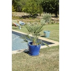 Pot terre cuite émaillée Varna - HYBA dans le catalogue Carrefour