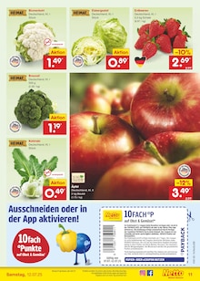 Äpfel im Netto Marken-Discount Prospekt "Aktuelle Angebote" mit 59 Seiten (Duisburg)