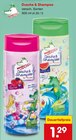 Dusche & Shampoo im Angebot bei Netto Marken-Discount in Wolfenbüttel Dusche & Shampoo Angebote bei Netto Marken-Discount Wolfenbüttel für 1,29 €