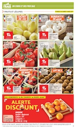 Offre Salade verte dans le catalogue Netto du moment à la page 3