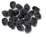 Marokk./portug. Brombeeren von Driscoll's für 1,99 € bei Kaufland im Angebot Marokk./portug. Brombeeren von Driscoll's im aktuellen Kaufland Prospekt