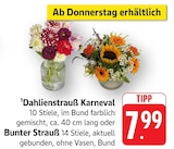 EDEKA - Dahlienstrauß Karneval Angebot im Prospekt Dahlienstrauß Karneval bei EDEKA im Prospekt "" für 7,99 €