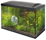 Start 70 Tropical Kit im Angebot bei Zookauf in Hemer Start 70 Tropical Kit Angebote von Superfish bei Zookauf Hemer für 85,99 €