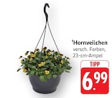 Aktuelles Hornveilchen Angebot bei E center in Stuttgart ab 6,99 €