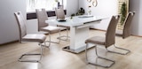 Esstisch oder Schwingstuhl bei XXXLutz Möbelhäuser im Aichach Prospekt für 333,00 €