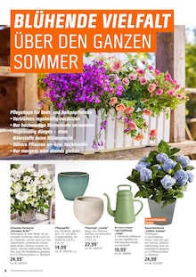 Blumentopf im OBI Prospekt "BRING FARBE IN DEN GARTEN!" mit 20 Seiten (Potsdam)