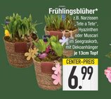 Frühlingsblüher von  im aktuellen EDEKA Prospekt für 6,99 €