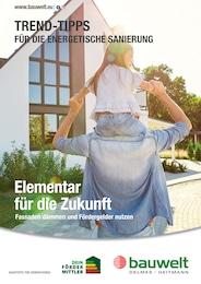 Delmes Bauwelt Prospekt mit 14 Seiten (Tiste)