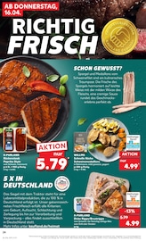 Schweinefilet im Kaufland Prospekt in Bad Oeynhausen Aktueller Kaufland Prospekt mit Schweinefilet, "KNÜLLER", Seite 36