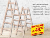 Holz-Sprossenleiter bei RHG Baucentrum im Bernsbach Prospekt für 49,90 €