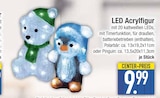 LED Acrylfigur Polarbär im Angebot bei E center in Regensburg LED Acrylfigur Polarbär Angebote bei E center Regensburg für 9,99 €
