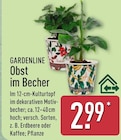 Obst im Becher Erdbeere von Gardenline für 2,99 € bei ALDI Nord im Angebot Obst im Becher Erdbeere von Gardenline im aktuellen ALDI Nord Prospekt