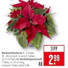 Weihnachtssterne Angebote bei Marktkauf Neu-Ulm für 2,99 €