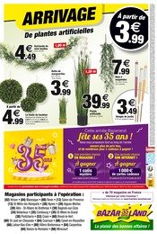Fleurs Angebote im Prospekt "C'est la fête des prix bas" von Bazarland auf Seite 8