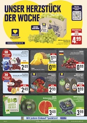 Erdbeeren im E center Prospekt in Hof Aktueller E center Prospekt mit Erdbeeren, "Wir lieben Lebensmittel!", Seite 10