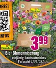 Hornbach Kiel Prospekt mit  im Angebot für 3,99 €