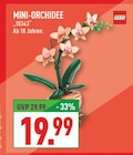MINI-ORCHIDEE im Angebot bei Marktkauf in Menden MINI-ORCHIDEE Angebote von LEGO bei Marktkauf Menden für 19,99 €