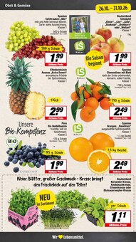 Äpfel im aktuellen E center Prospekt (Münster) Äpfel im E center Prospekt "Aktuelle Angebote" mit 25 Seiten (Münster)