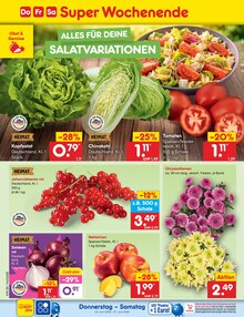 Pflanzen im Netto Marken-Discount Prospekt "Aktuelle Angebote" mit 64 Seiten (Hannover)