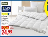 3-Kammer-Kopfkissen von FJÖDUR im aktuellen Lidl Prospekt für 24,99 €