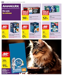 Offre Alimentation Chat dans le catalogue Carrefour Market du moment à la page 46
