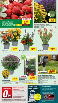 Gartenerde im toom Baumarkt Prospekt "Respekt, wer's selber macht." mit 24 Seiten (Karlsruhe)