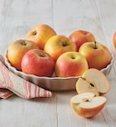 Pomme - Super U à Colmar Pomme en promo chez Super U Colmar à 2,49 €