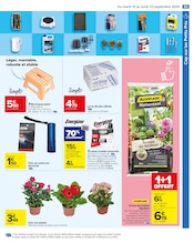 Plantes Angebote im Prospekt "LE MOIS DES MOIS" von Carrefour auf Seite 67