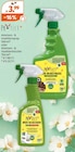 Ameisen- & Insektenspray von Protect im aktuellen Müller Prospekt für 3,99 €