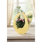 Composition Oeuf dans le catalogue Carrefour Market