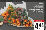 Tulpen Frühlingsblüher Mix bei EDEKA im Holzwickede Prospekt für 4,44 €