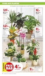 Offre Jardinage dans le catalogue Super U du moment à la page 32