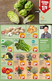 Blumenkasten Angebot & Preis im aktuellen REWE Prospekt Blumenkasten Angebot im aktuellen REWE Prospekt auf Seite 9