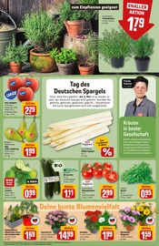 Ähnliche Angebote wie Narzissen im Prospekt "Dein Markt" auf Seite 7 von REWE in Mönchengladbach