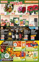 Blumentopf Angebot & Preis im aktuellen Norma Prospekt Blumentopf Angebot im aktuellen Norma Prospekt auf Seite 14