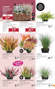 Blumentopf im Dehner Garten-Center Prospekt "AKTUELLE ANGEBOTE" mit 16 Seiten (Essen)