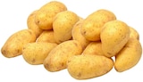 Speisekartoffeln Cilena im Angebot bei REWE in Oberhausen Speisekartoffeln Cilena Angebote von NRW HeimatProdukt REWE bei REWE Oberhausen für 1,99 €
