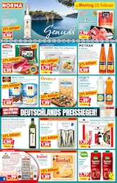 Hering Angebot im aktuellen Norma Prospekt auf Seite 8