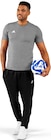 Herren T-Shirt, Fußball oder Herren Trikothose Angebote von adidas bei REWE Bruchsal für 12,99 €