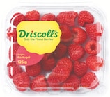 Himbeeren bei Netto mit dem Scottie im Salzwedel Prospekt für 1,89 €