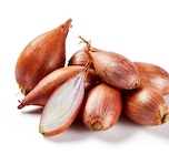 Promo Échalote à 0,42 € dans le catalogue Lidl à Saint-Christol-lès-Alès