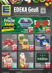 EDEKA Prospekt Wir lieben Lebensmittel! mit 28 Seiten