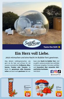 Tomaten im REWE Prospekt "Dein Markt" mit 34 Seiten (Heidelberg)