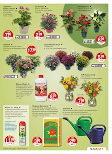 Blumenerde im V-Markt Prospekt "V-Markt einfach besser einkaufen" mit 26 Seiten (München)