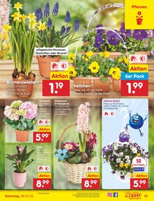 Blumentopf im Netto Marken-Discount Prospekt "Aktuelle Angebote" mit 66 Seiten (Heilbronn)