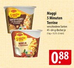 Maggi Kartoffelbrei oder Nudeln Angebote bei famila Nordost Lüneburg für 0,88 €